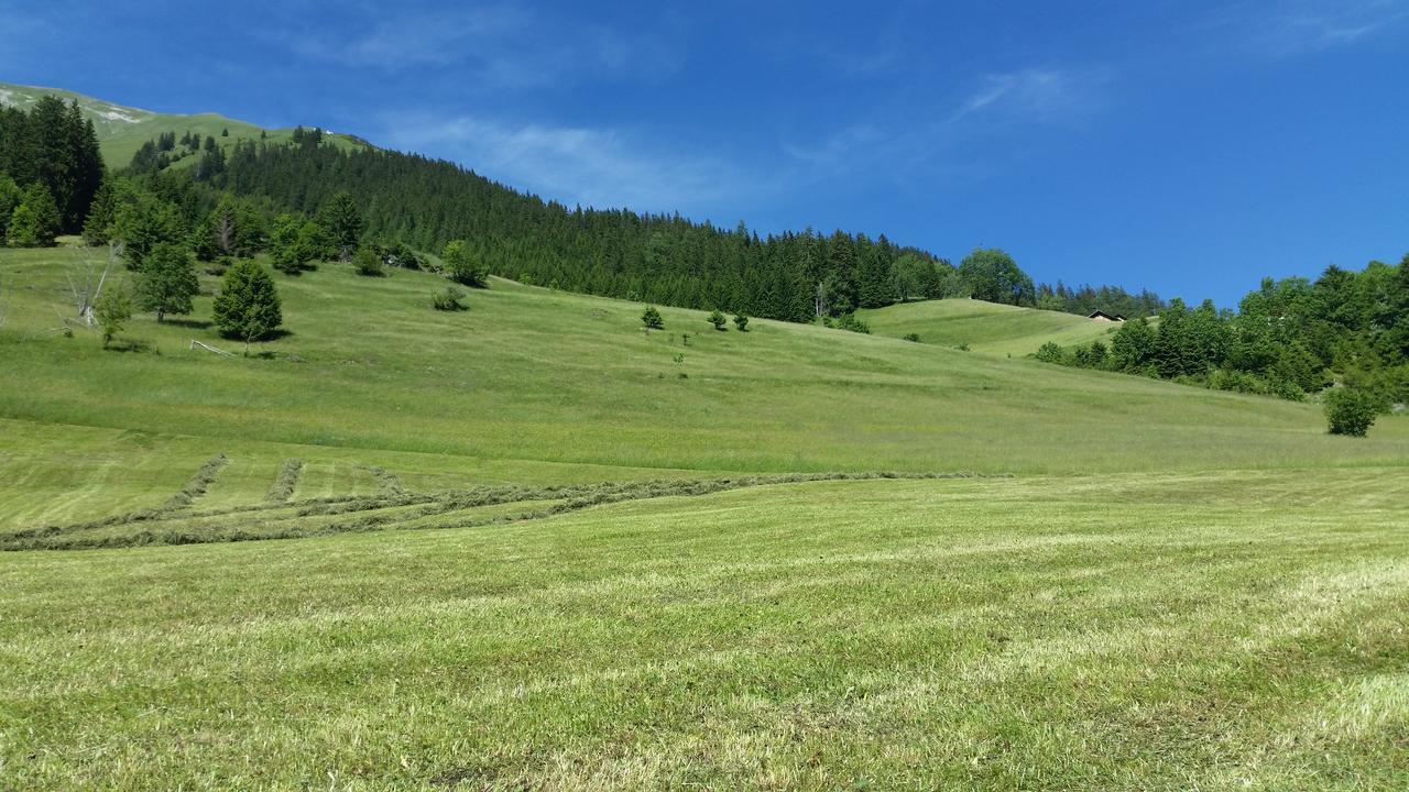 Auszeit Chalets Bschlabs Zewnętrze zdjęcie