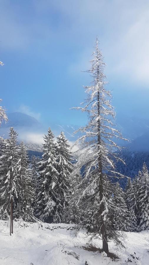Auszeit Chalets Bschlabs Zewnętrze zdjęcie